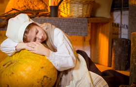 Drei Haselnüsse für Aschenbrödel