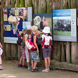 Der Zoo öffnet ab 10. März