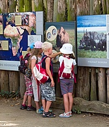 Zoo Frankfurt