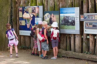 Zoo Frankfurt