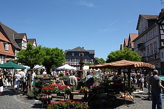 16. Büdinger Gärtnermarkt