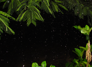 Nachts im Tropicarium