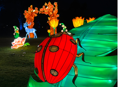 Winterlichter Palmengarten