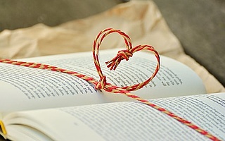 Gesucht! Henri, der Bücherdieb
