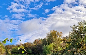 Sommerferien - Sonne, Freiheit & Abenteuer!