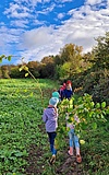 Sommerferien - Sonne, Freiheit & Abenteuer!