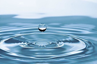 NaturWissenSchaffen: Element Wasser