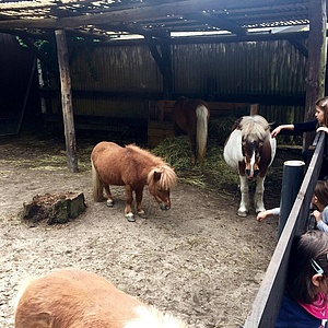 Kobelt Zoo darf endlich öffnen