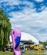 Festival4Family 2026