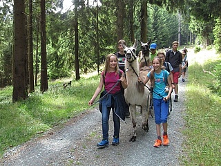 Lama-Tour durch den Spessart