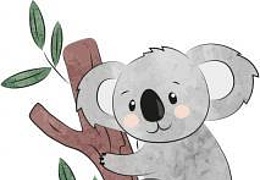 Koalas - Neue Pfadfindergruppe für Schulanfänger