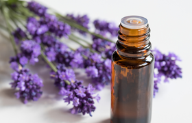 Die Lavendelwerkstatt