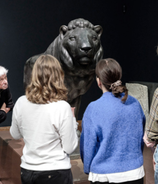 Liebieghaus Skulpturensammlung