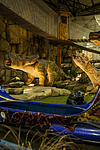 Dino Adventure Park