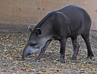 Erstklässler-Führungen im Zoo Vivarium Darmstadt