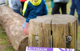Familienführung: Gewitter, Blitz, Donner und Hagelschlag