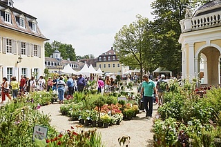 Das Gartenfest Hanau im Staatspark Wilhelmsbad 