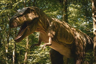 Welt der Dinosaurier