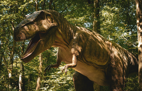 Welt der Dinosaurier