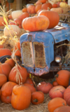Wächtersbacher Herbstmarkt