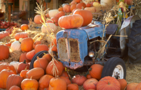 Wächtersbacher Herbstmarkt