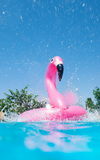 Familientag: Sol Fiesta