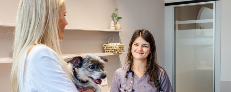 filu - Dein Tierarzt