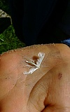 Tag der Naturpädagogik