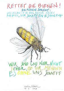 Die Bienen und ihre wilden Schwestern