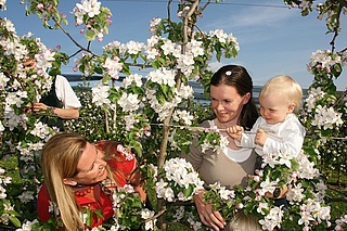 Apfelblütenfest  des Obst- und Gartenbauverein Dietzenbach e.V.
