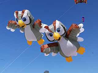 34. Familiendrachenfest Rodgau