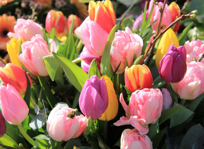 Schlosshotel Rettershof / Kelkheim im Taunus