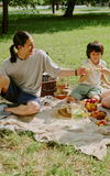 Familien Picknick im Park