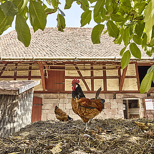 Freilichtmuseum Hessenpark