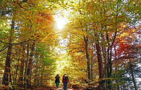 Immer wieder sonntags - Überraschungstour Wandern