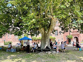 Familientag im Schloss Steinheim