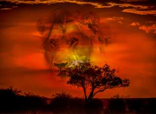 Schloss Vollrads Weihnachtsmarkt & Open-Air Kino für die ganze Familie