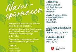 "Naturspürnasen" Maxi - Laubfrosch