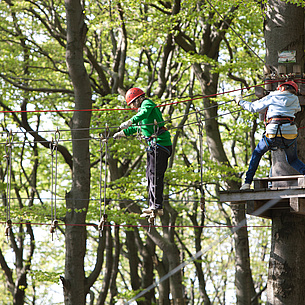 Kletterwald Hoherodskopf