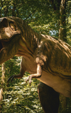 Dinosaurier Ausstellung