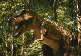 Dinosaurier Ausstellung