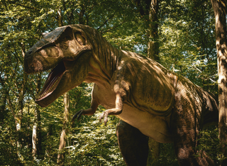 Dinosaurier Ausstellung