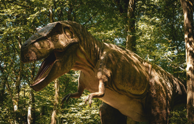 Dinosaurier Ausstellung