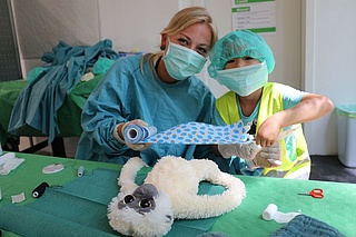 11. Frankfurter Teddy-Klinik hilft Kindern spielerisch Ängste abzubauen