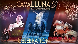 Cavalluna - Celebration