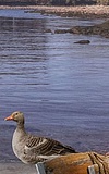 Familienausstellung: Vom Wert des Wassers. Alles im Fluss?