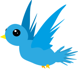 Kleiner Vogel, flieg