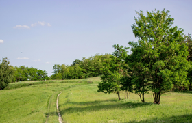 Workshop „Die Welt in Grün!“