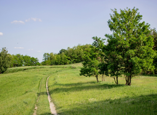 Workshop „Die Welt in Grün!“