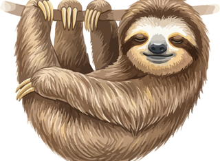 Vom Urwaldriesen und dem Faultier